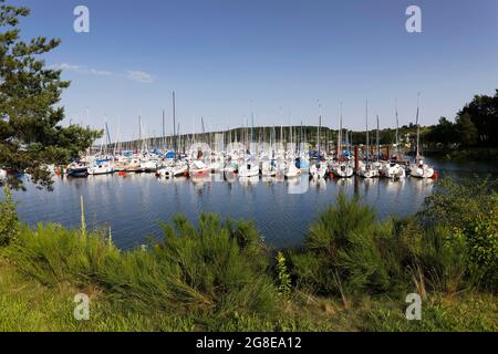 Bateaux à voile dans le port de plaisance, port de plaisance, Ramsberg am Brombachsee, quartier de Markt Pleinfeld, quartier des lacs de Franconie, moyenne-Franconie Banque D'Images