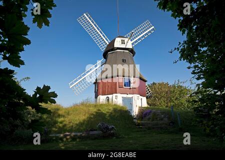 Moulin à vent, Nebel, Amrum Island, Mer du Nord, Frise du Nord, Schleswig-Holstein, Allemagne Banque D'Images