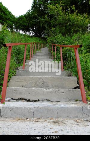 Surcultivé avec de l'herbe, un long escalier en béton avec une rambarde en fer va loin vers le haut dans un épais d'arbres verts. Mise au point sélective. Banque D'Images