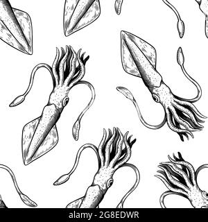 Motif sans couture avec mollusques calmars. Illustration dans un style vintage. Illustration de Vecteur