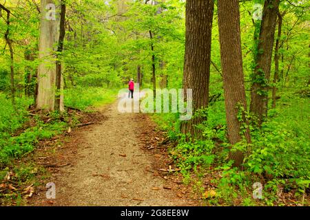 Cottonwood nature Trail, réserve naturelle nationale DeSoto, Iowa Banque D'Images