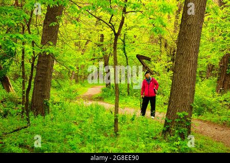 Cottonwood nature Trail, réserve naturelle nationale DeSoto, Iowa Banque D'Images