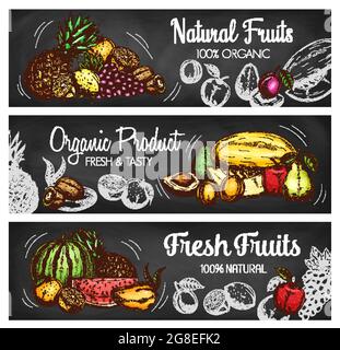 Banderoles de tableau noir aux fruits tropicaux et aux baies avec croquis vectoriels de produits frais de la ferme. Pomme de jardin, poire et pêche, mangue exotique, orange, ananas et Illustration de Vecteur