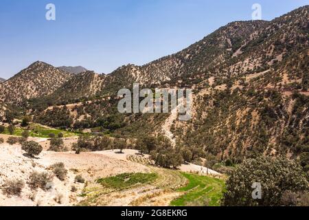 Champs de riz en terrasse à la branche supérieure de la vallée de Fahliyan, montagnes de Zagros, Gach Darvazeh, province de Fars, Iran, Perse, Asie occidentale, Asie Banque D'Images