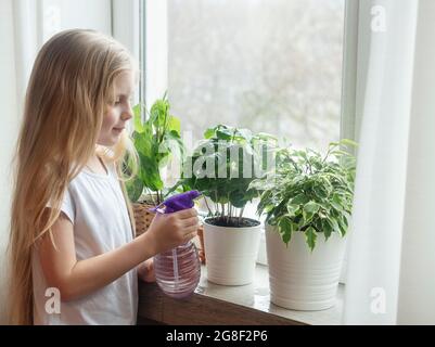 Une petite fille éclabousse de l'eau sur les plantes de la maison. Jardinage à la maison Banque D'Images