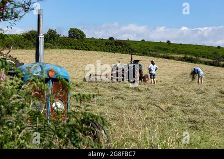 Fordson Super Major Tractor,tournage du foin avec l'ancien tracteur, tracteur Fordston,Fordson Banque D'Images