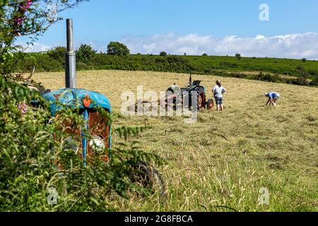 Fordson Super Major Tractor,tournage du foin avec l'ancien tracteur, tracteur Fordston,Fordson Banque D'Images