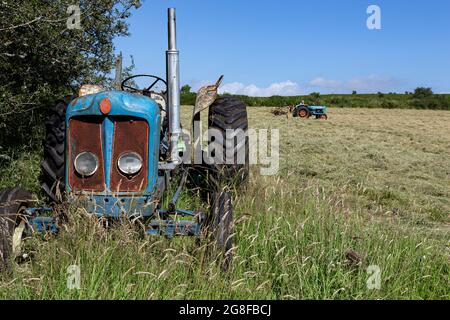 Fordson Super Major Tractor,tourner le foin avec l'ancien tracteur, Fordston Tractor,Fordson charrue,vieux tracteur, Fordston Tractor,Fordson Super Major Tractor,tur Banque D'Images