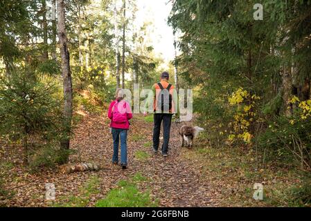 Couple de touristes avec promenades en chiens sur la route dans la forêt d'automne Banque D'Images