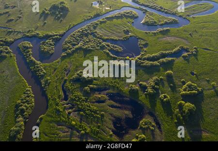 Une rivière sinueuse traverse une plaine marécageuse et une forêt, vue aérienne. Banque D'Images