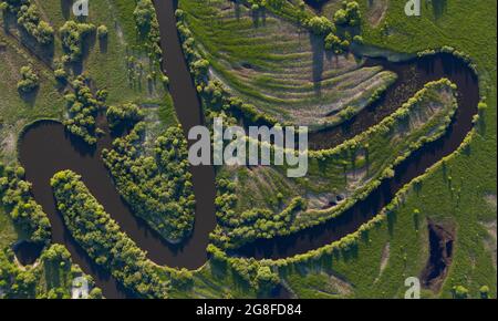 Une rivière sinueuse traverse une plaine marécageuse et une forêt, vue aérienne. Banque D'Images