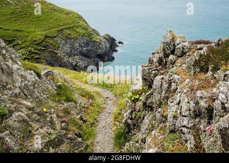 Sentier côtier à travers les rochers autour de Carmel Head en été. Île d'Anglesey, nord du pays de Galles, Royaume-Uni, Grande-Bretagne Banque D'Images