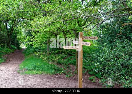 Un panneau en bois indiquant un sentier public et une passerelle sur North Downs, sur la colline de St. Martha, dans le Surrey Hills, Angleterre, Royaume-Uni Banque D'Images