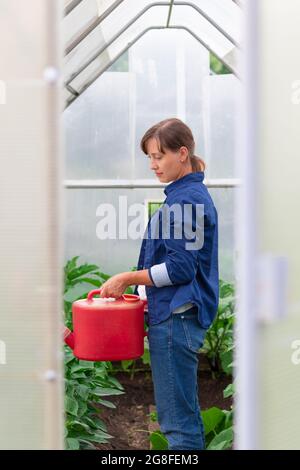 Une femme dans une chemise bleue verse un arrosoir sur les plantes en serre lors d'une chaude journée d'été. Mise au point sélective. Gros plan Banque D'Images