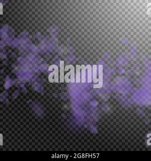 Pétales de fleurs violettes tombant. Fleurs exotiques romantiques tombant de pluie. Pétale volante sur fond carré transparent. Amour, romance concept. Génial Illustration de Vecteur