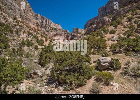 Canyon latéral sans nom, vue depuis la cabine isolée d'Hermit, la région de Marjum Canyon, Middle Range in House Range, Great Basin Desert, Utah, États-Unis Banque D'Images