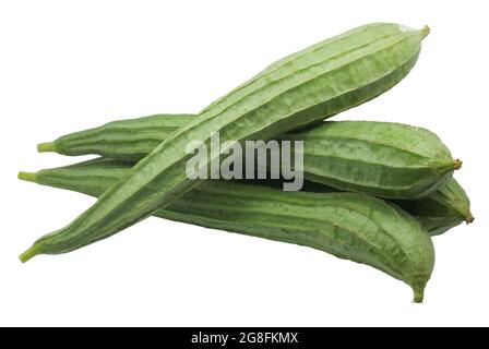 Luffa acutangula verte isolée sur fond blanc Banque D'Images