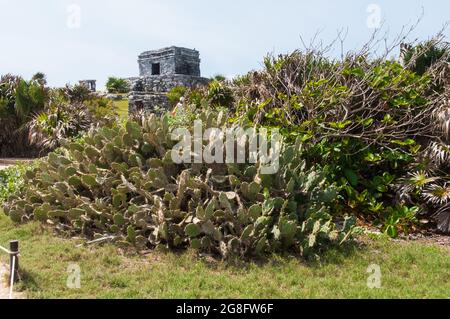 TULUM, MEXIQUE - 08 mai 2017 : une vue du temple du Dieu des vents depuis la terre; ruines mayas anciennes sur les rives de la mer des Caraïbes à Tulum, Mexique Banque D'Images