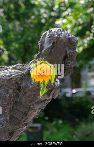 Fleur jaune au Monument de l'esclavage à Amsterdam, pays-Bas 2-7-2021 Banque D'Images