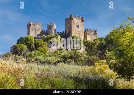 Château d'Almodovar. Almodovar del Rio, province de Cordoue, Andalousie, Espagne. Fondé comme un fort romain, il s'est développé dans sa forme actuelle pendant le Moori Banque D'Images