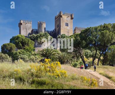 Château d'Almodovar. Almodovar del Rio, province de Cordoue, Andalousie, Espagne. Fondé comme un fort romain, il s'est développé dans sa forme actuelle pendant le Moori Banque D'Images