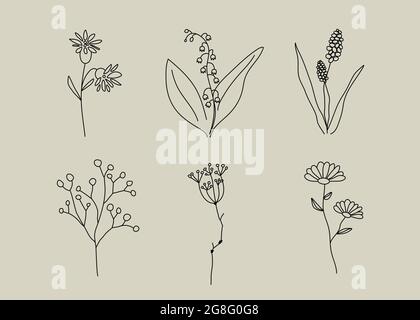 Icône de fleur sauvage. Élément du logo des cosmétiques naturels. Enseigne isolée du salon de beauté. Symbole de la nature. Illustration vectorielle Illustration de Vecteur