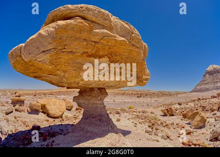 Roche équilibrée qui ressemble à un tabouret de crapaud, bois pétrifié disséminé autour de la formation, parc national de la forêt pétrifiée, Arizona, États-Unis Banque D'Images