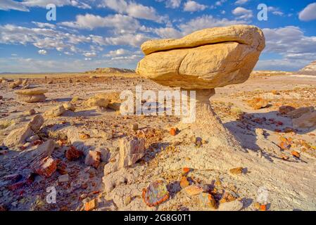 Roche équilibrée qui ressemble à un tabouret de crapaud, bois pétrifié disséminé autour de la formation, parc national de la forêt pétrifiée, Arizona, États-Unis Banque D'Images