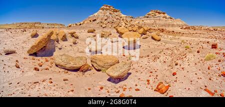 Un jardin en pierre de rochers de Toadstool à l'extrémité sud de Keyhole Mesa dans le parc national de la forêt pétrifiée, Arizona, États-Unis, Amérique du Nord Banque D'Images