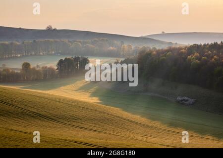 Paysage brumeux avec Beacon Hill et Ladle Hill, Highclere, North Wessex Downs AONB (région de beauté naturelle exceptionnelle), Hampshire, Angleterre Banque D'Images