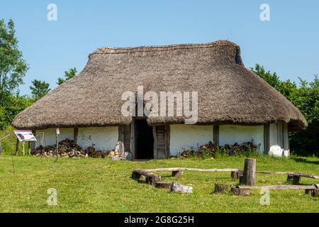 Maison saxonne basée sur les fouilles du village de Chalton Saxon à Busser Musée archéologique en plein air de la ferme antique du Hampshire, Angleterre, Royaume-Uni Banque D'Images