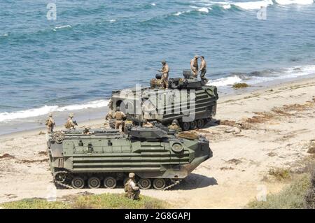 Véhicules amphibies d'assaut de l'USMC en position sur la plage au MCB Camp Pendleton, CA Banque D'Images