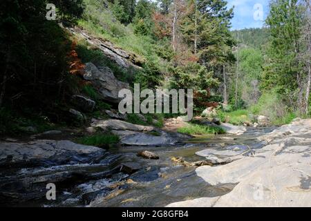 Beaver Brook Trail au Colorado Banque D'Images