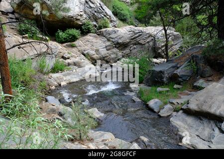 Beaver Brook Trail au Colorado Banque D'Images