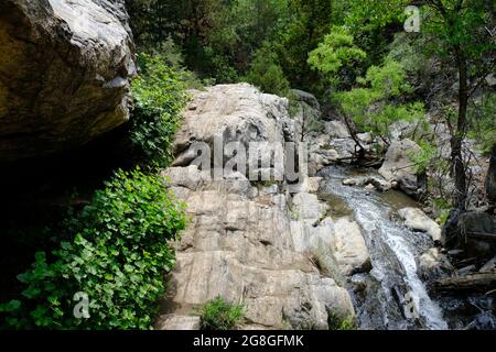 Beaver Brook Trail au Colorado Banque D'Images