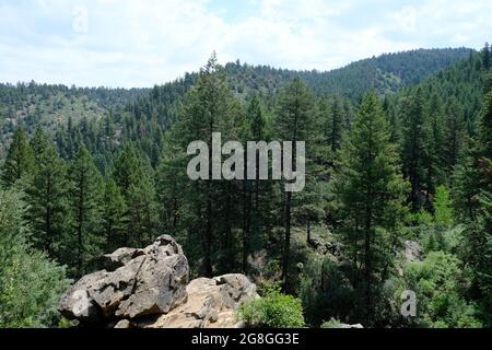 Beaver Brook Trail au Colorado Banque D'Images