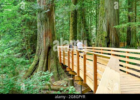 Promenade à travers Cathedral Grove, parc provincial MacMillan, Colombie-Britannique, Canada Banque D'Images