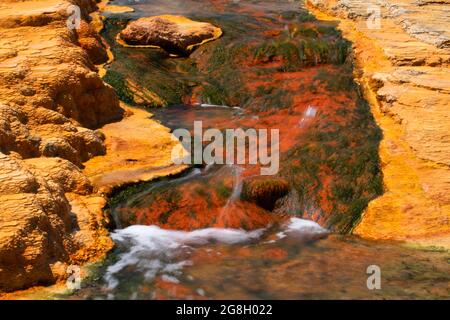 Sources minérales, Geyser Park, Soda Springs, Idaho Banque D'Images