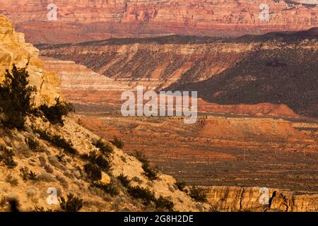 La lumière de la fin de l'après-midi fait briller les couches du désert de l'Utah près du parc national de Zion jaune, orange et rouge. Banque D'Images