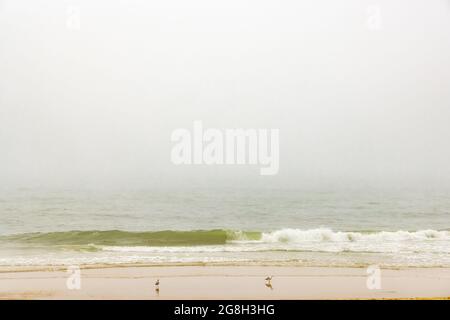 Journée d'été brumeuse sur une plage d'Amagansett Banque D'Images