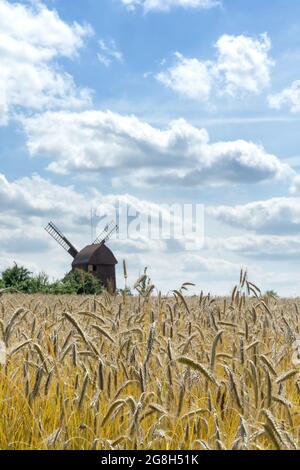 Image hors foyer d'un moulin à vent traditionnel en bois vu à travers un champ de seigle. Ciel bleu et nuages blancs. Paysage rural d'été, Pologne, Europe. Banque D'Images