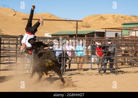 DATE DE SORTIE: 22 octobre 2021 TITRE: Jackass Forever STUDIO: Paramount Pictures DIRECTEUR: Jeff Tremaine PARCELLE: Après dix ans, l'équipage de Jackass est de retour pour leur croisade finale. AVEC: JOHNNY KNOXVILLE.(Credit image: © Paramount Pictures/Entertainment Pictures) Banque D'Images