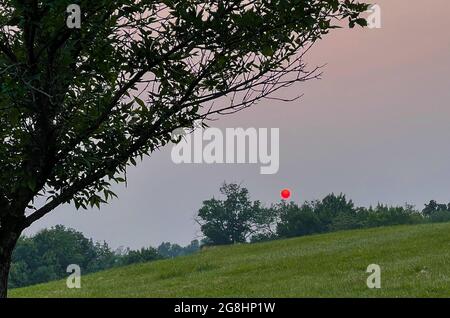 Warwick, États-Unis. 20 juillet 2021. Une brume demeure dans le ciel alors que le soleil se couche sur un groupe d'arbres dans la plupart des États du nord-est des États-Unis mardi 20 juillet 2021 dans un parc à Warwick, Pennsylvanie. ( Credit: William Thomas Cain/Alamy Live News Banque D'Images