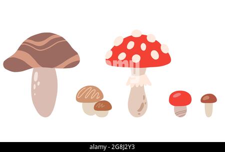 Ensemble de dessins animés différents champignons. Simple illustration plate de champignon. Les champignons Boletus, les champignons porcini et les agarics de mouche. L'objet naturel vectoriel est Illustration de Vecteur