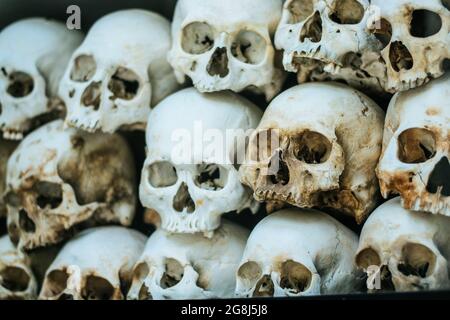 Os et crânes humains. Rangée de crânes. Collection de crânes en catacombes. Symbole de la mort, de la peur et du mal Banque D'Images