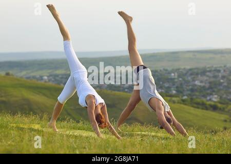 Homme et femme faisant un seul leged vers le bas chien asana ensemble tout en pratiquant le yoga dans la nature Banque D'Images