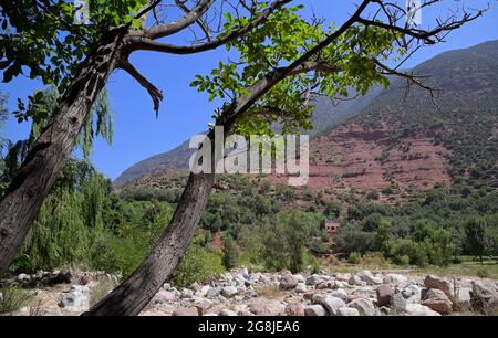 Villages berbères dans la belle vallée de l'Ourika, Haut Atlas ma Banque D'Images