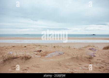 Pierres roses sur une plage déserte avec île au loin et empreintes de pattes Banque D'Images