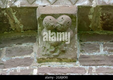 Pierres historiques sculptées corbels St Mary et église St David Kilpeck Herefordshire Angleterre Royaume-Uni Banque D'Images