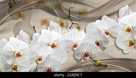 papier peint 3d, orchidées blanches sur la texture toile de tissu Banque D'Images